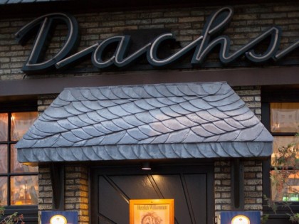 Foto: Dachsbau Krefeld